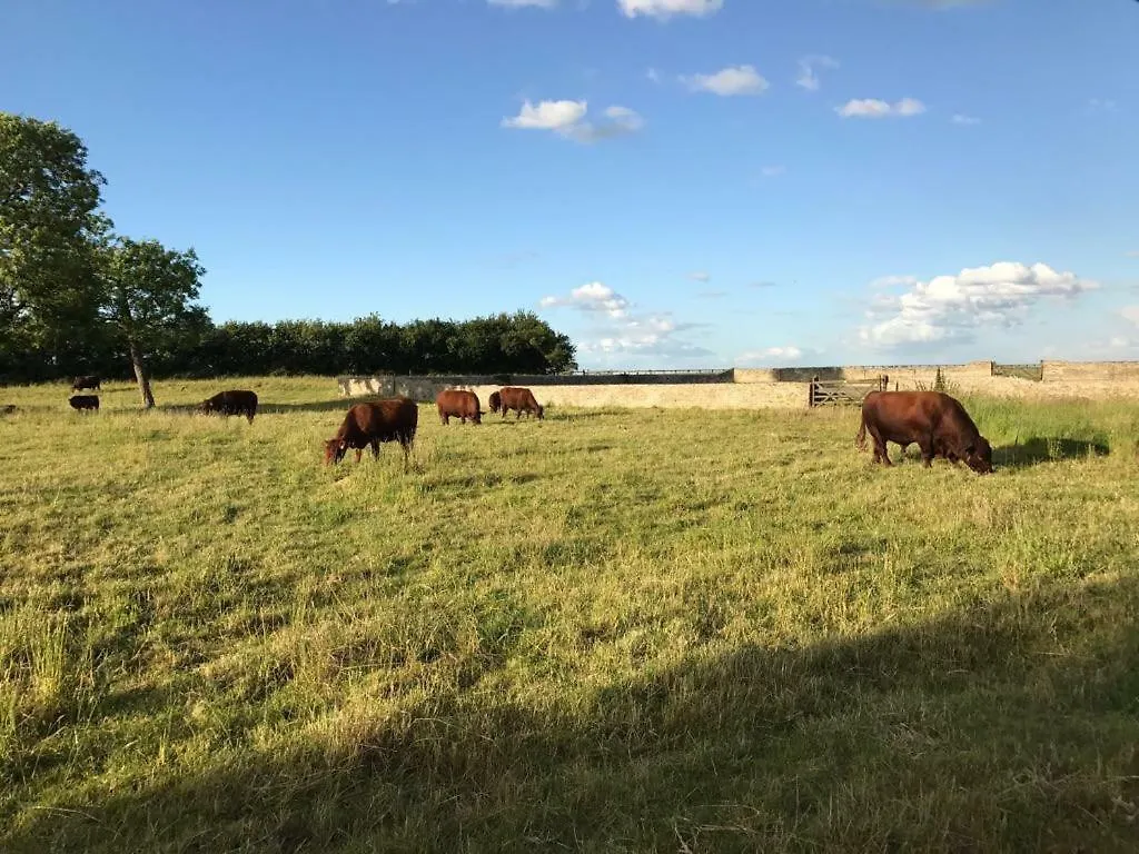 Casa di campagna Cambridge Country Cottages Regno Unito
